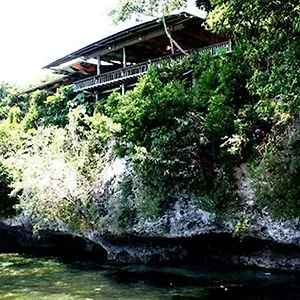 Bohol Bee Farm Panglao